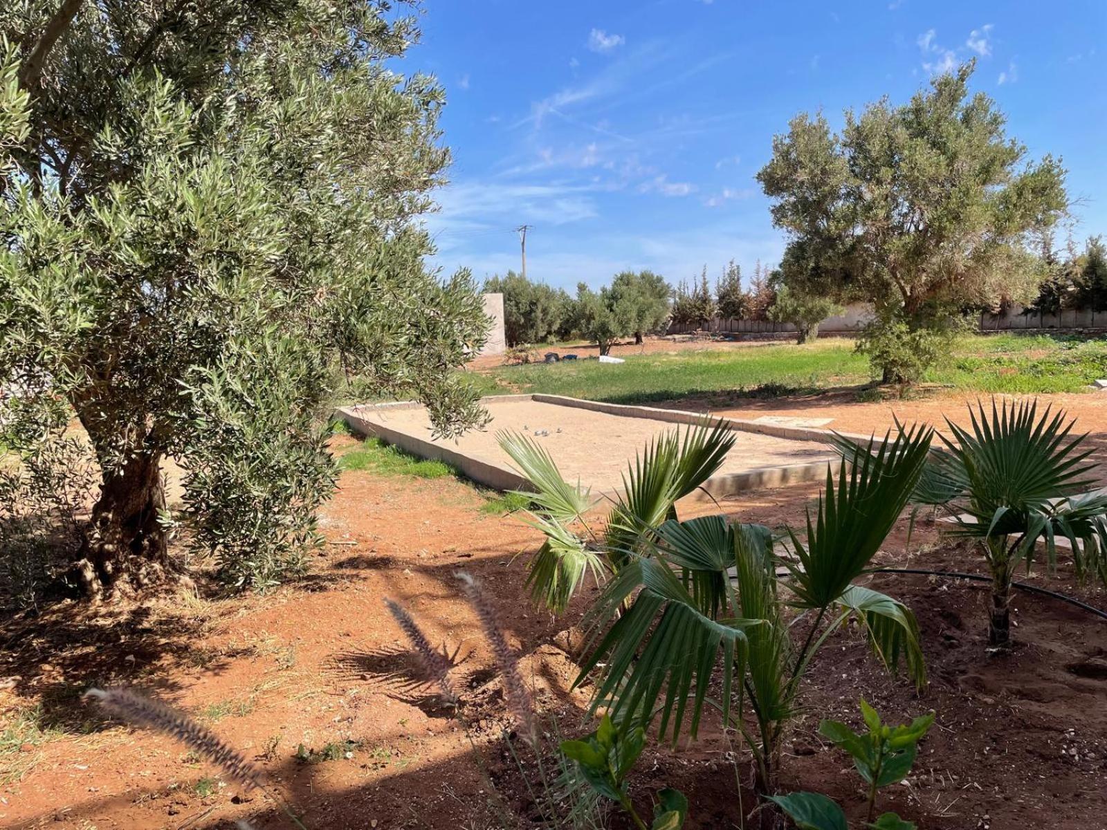 Riad Sabidi Essaouira Eksteriør billede