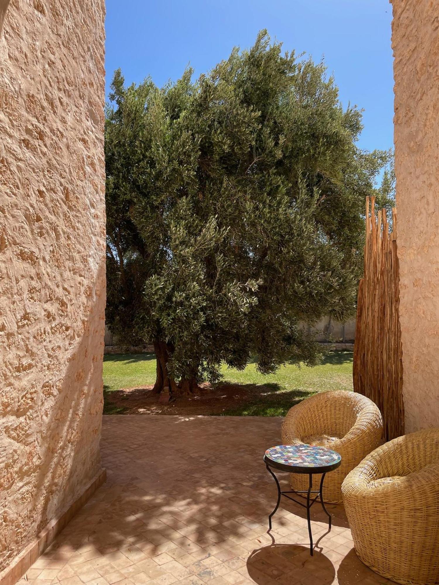 Riad Sabidi Essaouira Eksteriør billede