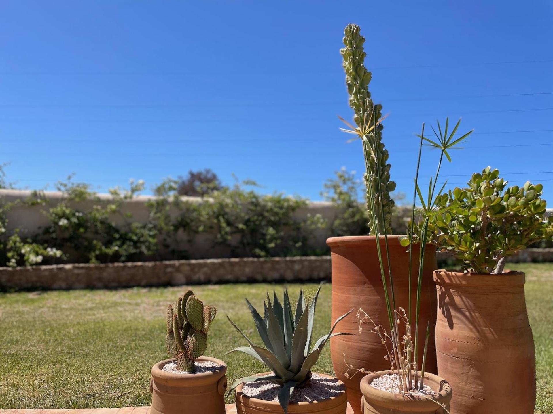 Riad Sabidi Essaouira Eksteriør billede